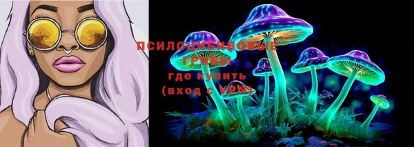стаф Шали